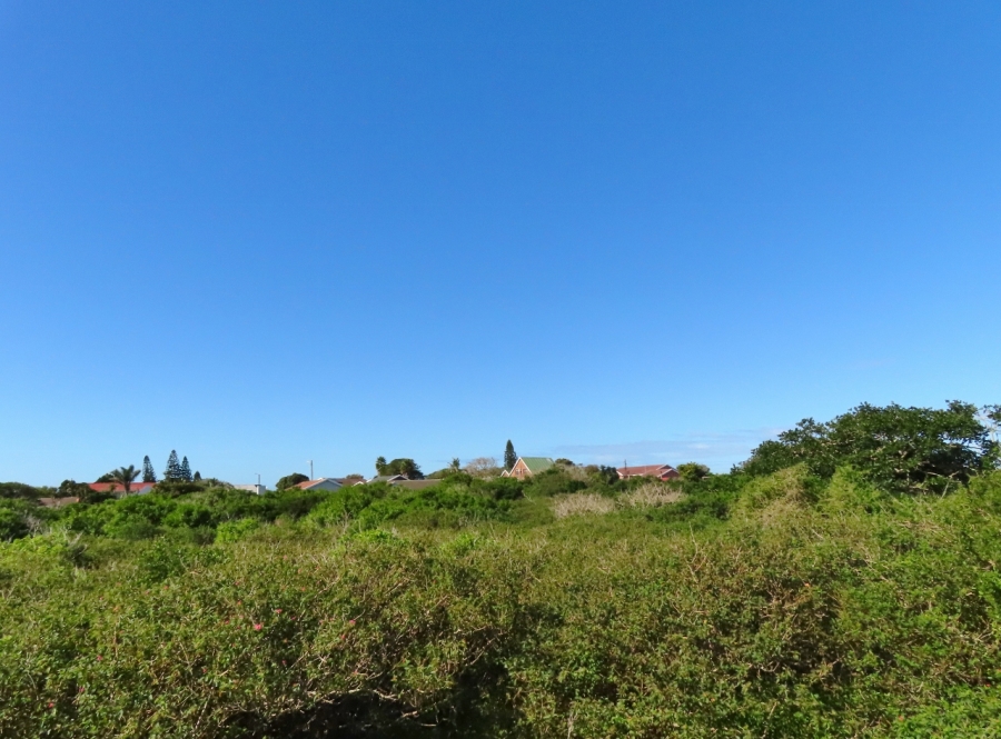 0 Bedroom Property for Sale in Forest Downs Eastern Cape